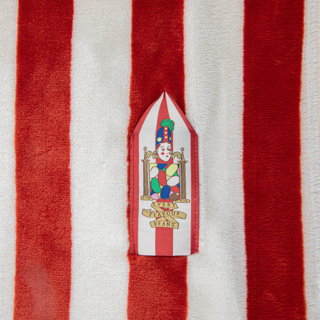 "Harry Potter" Flannel Cozy Scented Blanket