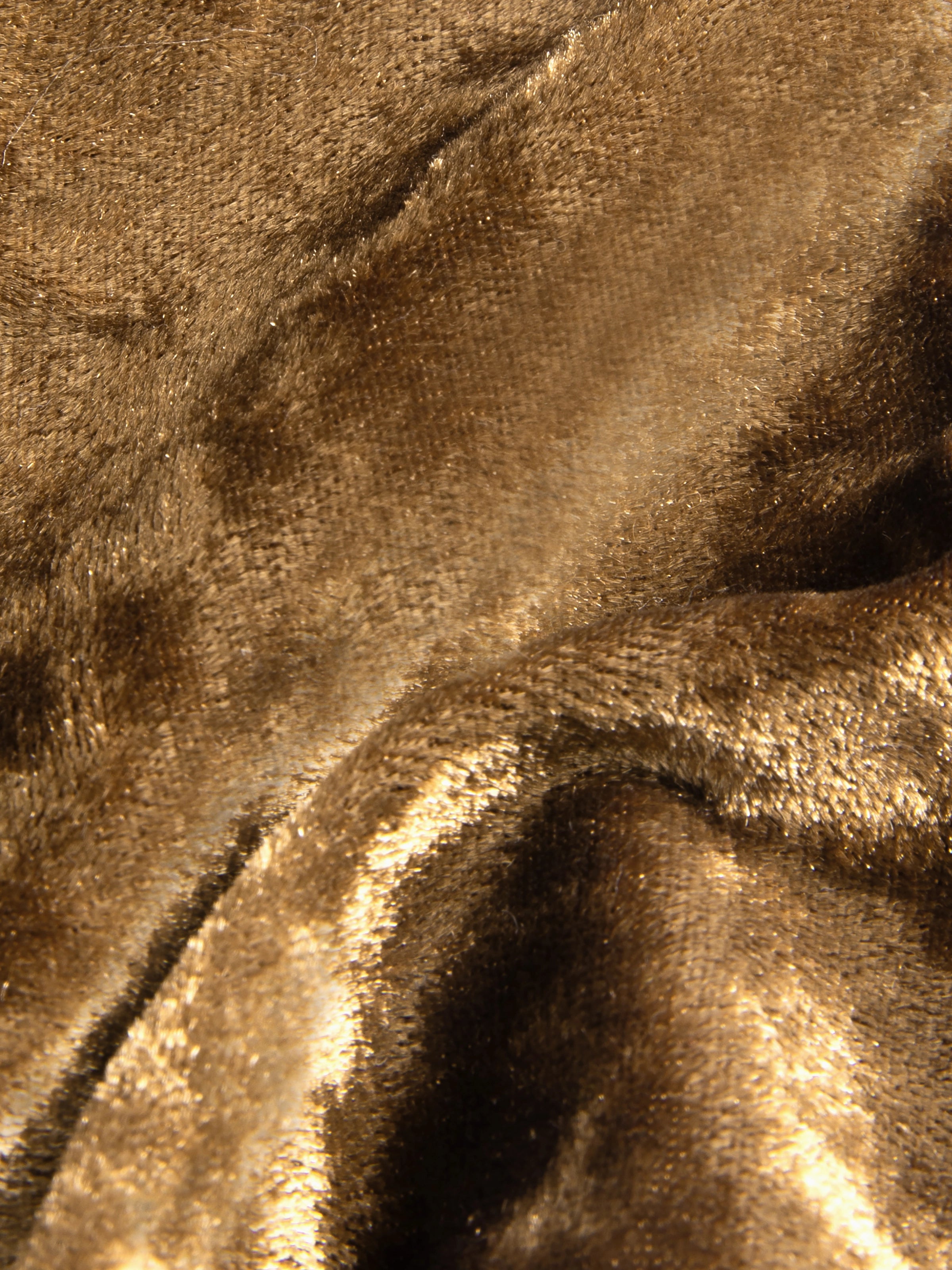 "Year of the Horse" Velvet Buckwheat Pillow – Fortune Red
